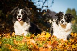 Nell und Emely ganz erwartungsvoll