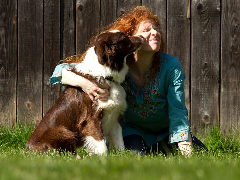 verschmuste Bordercollie Huendin