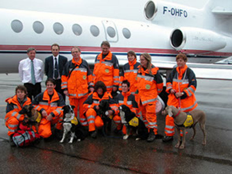 Border Collie Flugzeug Rettung