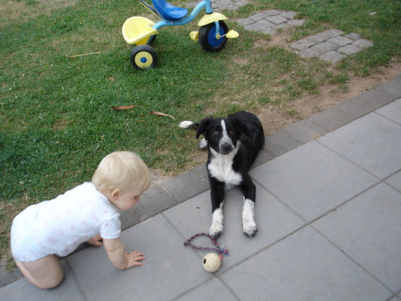 Baby spielt mit Hund