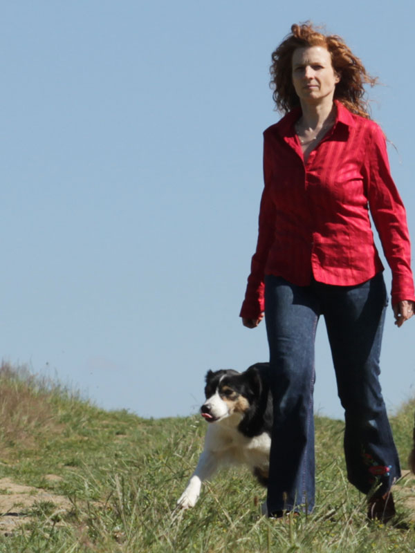 Border Collie Hündin beschwichtigt Rudelführer