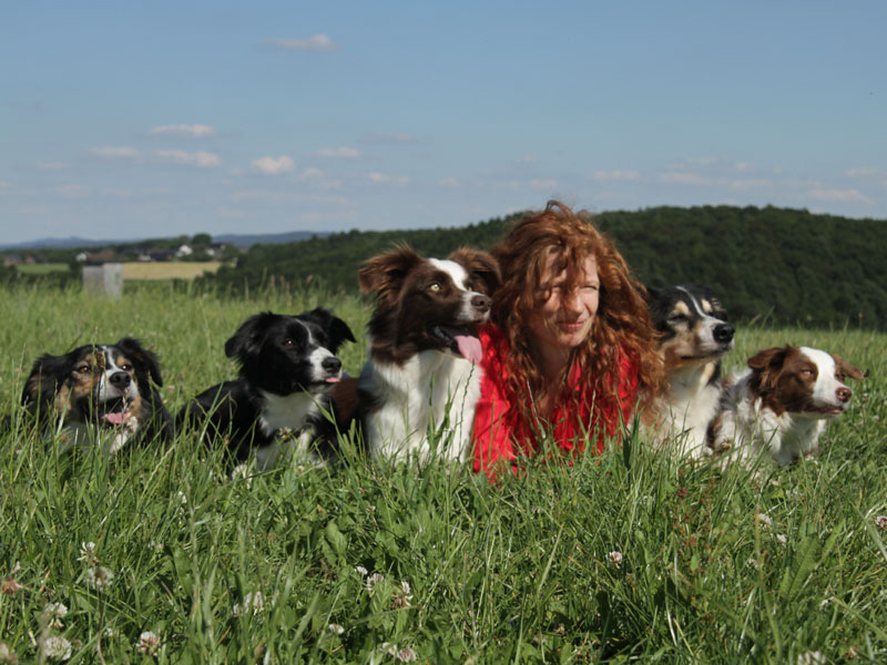 süsse Hunde in freier Natur