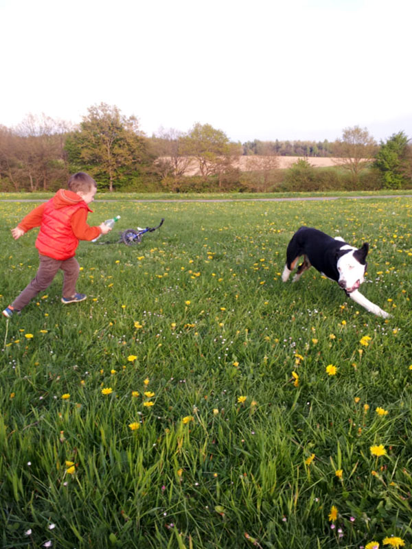 Kind spielt mit Hund fangen