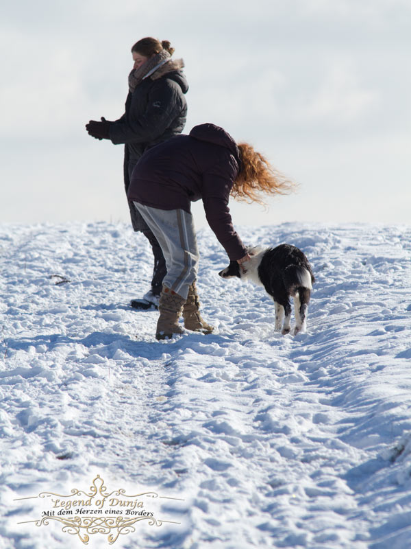 Training Junghund