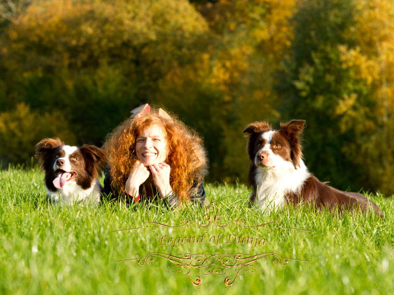 herbstfeeling border collie