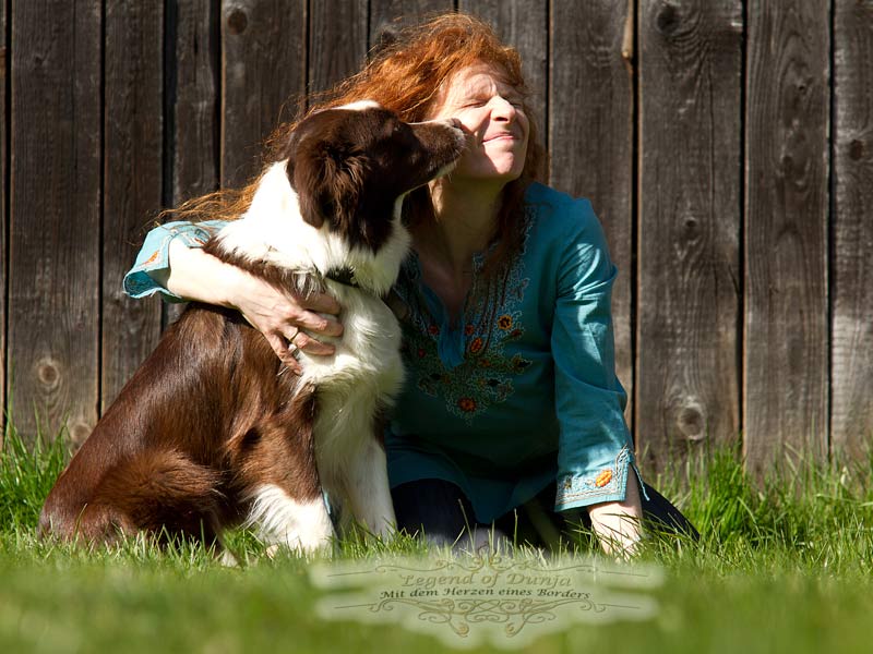 border collie lana und Züchter