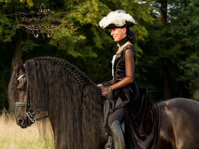 friesenhengst reiten